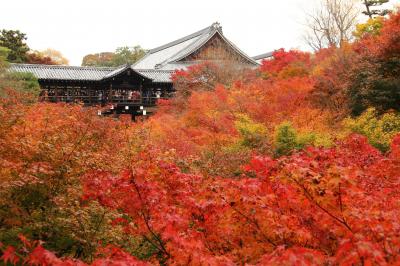 2012年11月の京都　紅葉三昧　1日目は東福寺