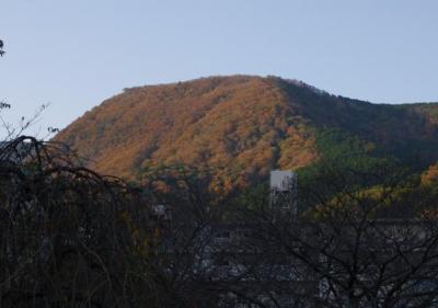 行き掛けの駄賃　　幕山を歩いて箱根　ひめしゃらへ　　　