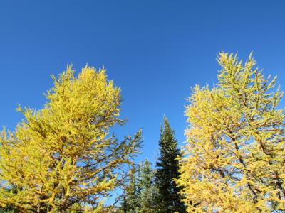 私にとってやっぱり９月はカナダです