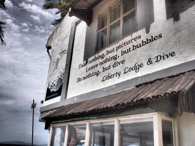 マラパスクワ アポ シキホール 再訪 その2 アポ島の巻