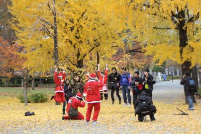 大阪　晩秋の紅葉・・・（大阪城公園・御堂筋）