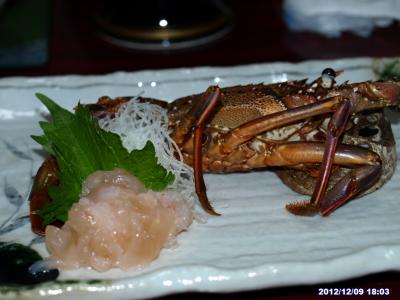 天草「うに丼祭り」に釣られたグルメふたり旅