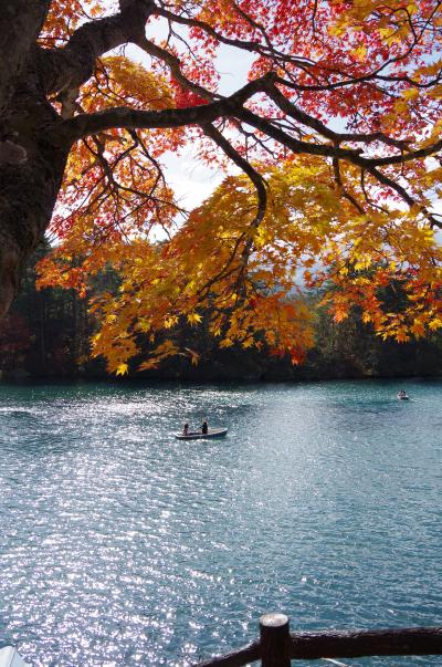 福島ぶらり旅 観光も復興支援になりますか? ③五色沼探索→仙台