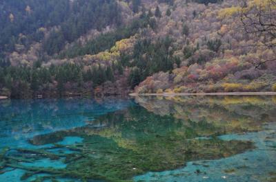 個人で行くひとり黄龍九寨溝12★曇りで残念…朝の鏡海、箭竹海、熊猫海、五花海、珍珠灘、珍珠灘滝