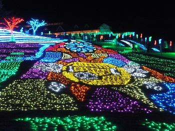 東京ドイツ村イルミネーション2012