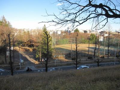 初冬のたまプラーザ「美しが丘公園」