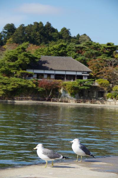 宮城ぶらり旅 観光も復興支援になりますか? ④仙台・松島