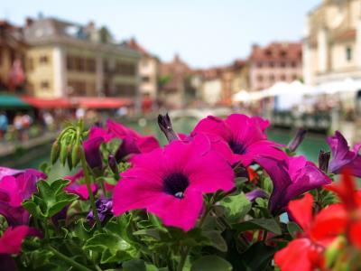 ANNECY