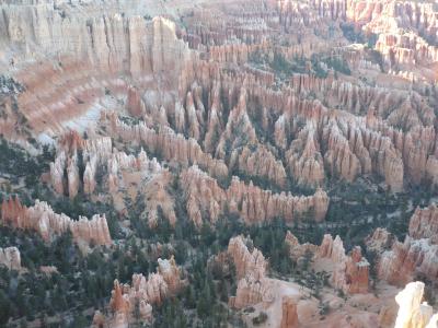 Thanksgiving の Bryce Canyon National Park  11/22/2012