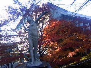 紅葉とクリスマスを求めて・・・秋の散策