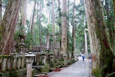 紀伊半島ドライブ　１，５６５キロ　⑥　４日目前半　野猿、谷瀬の吊橋、高野山