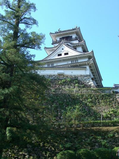 ２０１１年　高知へ宴会旅行