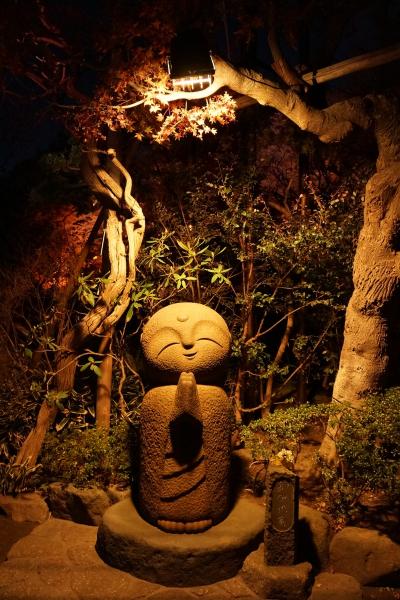 晩秋の鎌倉散歩（2）　道に迷って海蔵寺、いろいろ回って長谷寺