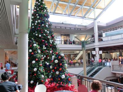 （我慢できずに）今年２度目の☆ＨＡＷＡＩＩ☆～積雪の札幌から直行便でＧＯ～（出発～１日目）