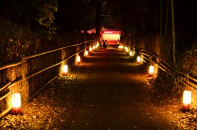 京都・嵐山花灯路に訪れてみた ～2012～
