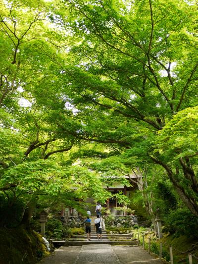 新緑の京都へ♪　