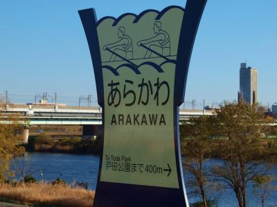 戸田公園　戸田漕艇場付近　晴天　風強　下