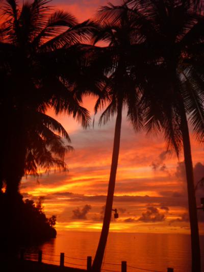 パラオ　パラオパシフィックリゾート　4泊5日（２０１２年乾季）