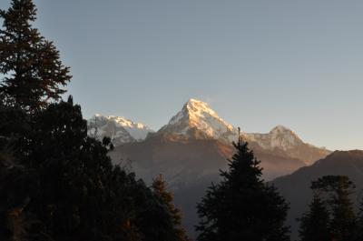 アンナプルナ　トレッキング