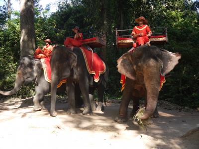 母娘で行くベトナム＆カンボジアの旅～④日目　アンコールワット&amp;トムへ観光