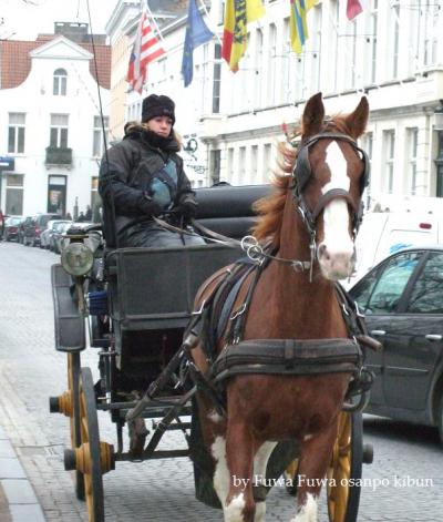 ♪　2　念願の個人手配一人旅・Brugge 街歩き（11/15～11/17）　♪