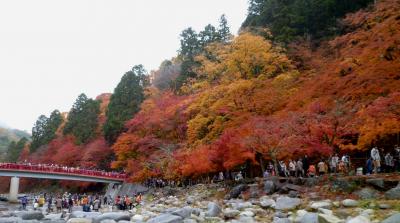 紀伊半島ドライブ　１，５６５キロ　⑧　５日目前半　香嵐渓の紅葉