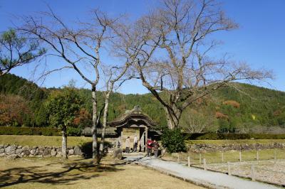 小松から福井・敦賀への南北陸マイナー旅(三日目)～一乗谷朝倉遺跡から、永平寺、丸岡城までバスを乗り継いぐ効率旅です～