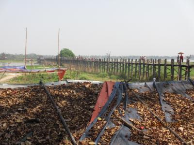 ビルマ・マンダレー特急旅行（５３）アマラプラの長大橋。