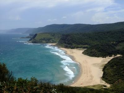 シドニーのシークレットビーチを巡るウォーキング (Walking through Sydney's best kept secret beaches)