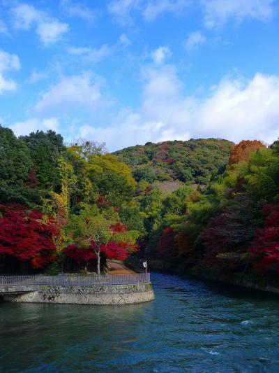 2012年11～12月　母と娘の京都散り紅葉めぐり（第２日目）前編　宇治川ライン巡りの巻