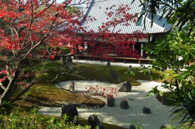 東福寺光明院　１２月の風景！2012年
