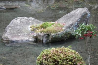 蓮華寺の晩秋！2012年