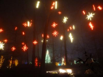 霧のクリスマス・イヴ　＠　アトランタ植物園のガーデン・ライト＜ｉｎジョージア州アトランタ＞