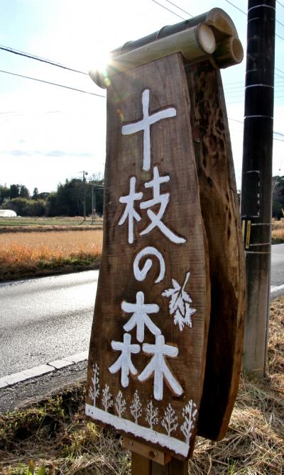 隠れた名所「十枝（とえだ）の森」（千葉県大網白里町）