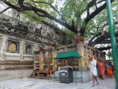 インド周遊（その38）　21日目・3　ブッダガヤ　マハーポーディ寺院の参拝