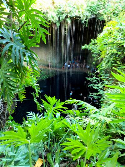 メキシコ世界遺産紀行最終編（セノ−テ、カンクン）