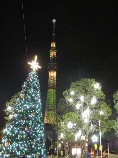 ２０１２年１２月、新たな年へ…☆