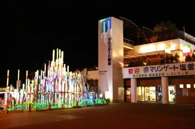 瓦礫と木っ端を組み合わせて作った 「木っ端クリスマスツリー」 　マリンゲート塩釜　　宮城県