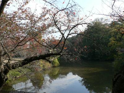 日本の旅　関西を歩く　大阪府貝塚市の水間公園周辺