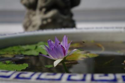 タイの旅 (バンコク)