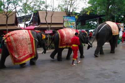 タイの旅 (アユタヤ)
