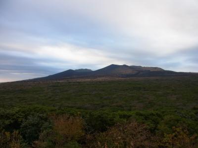 伊豆大島　かめりあ丸には乗ったけど、椿には早かった