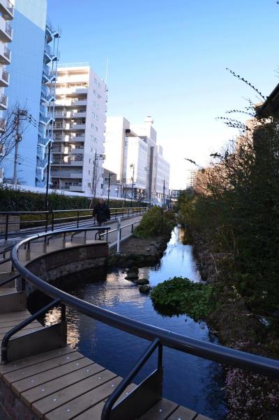 東京ブラリ旅２０１２．１２．２５－２６　～④世田谷線三軒茶屋駅へ～