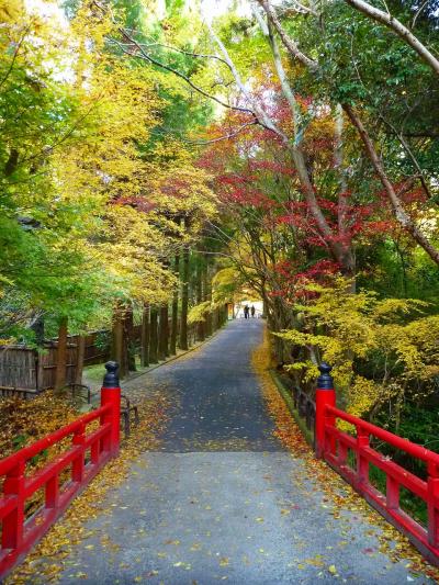 2012年11～12月　母と娘の京都散り紅葉めぐり（第２日目）後編　今熊野観音寺の巻