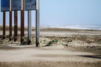 砂も鳥も人も・・・（千葉県九十九里浜白里海岸）