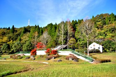 水辺の郷公園（千葉市緑区あすみが丘）