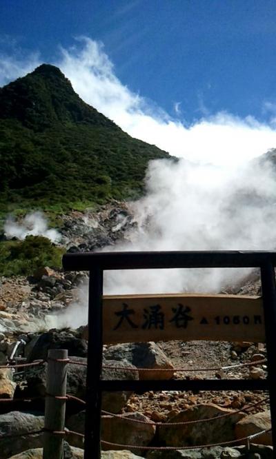 9-１：神奈川.箱根～小田原から箱根へドライブ巡り～