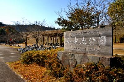 小中池（千葉県大網白里町）