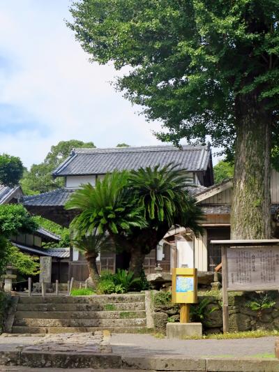 壱岐17　安国寺に参拝　文化財の宝庫　☆スギの巨木が語る史実