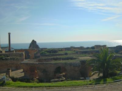 チュニジアを旅する　～カルタゴ遺跡とバルドー博物館　編～